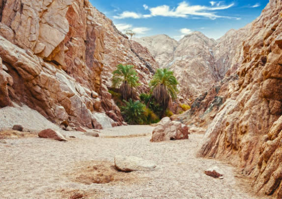 An image showcasing the Colored Canyon near Taba.