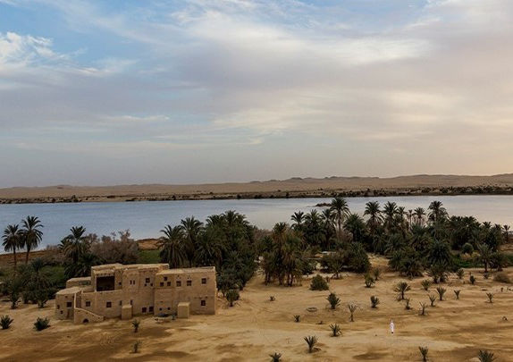 An image showcasing Siwa Oasis